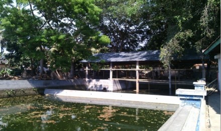 Album : MEMONTONG TIMBA BAGIK